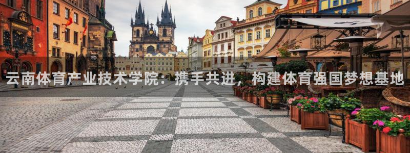 MK体育官方正版app五金厂:云南体育产业技术学院:携手共进