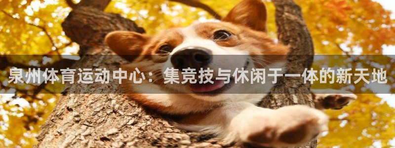 MK体育官网下载招商电话地址是多少:泉州体育运动中心:集竞技