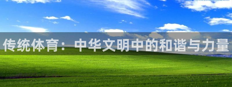 MK体育官方正版app集团logo:传统体育:中华文明中的和